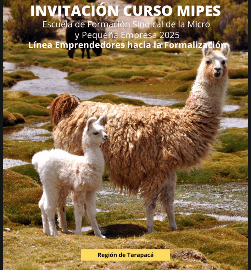 Invitación curso MIPES